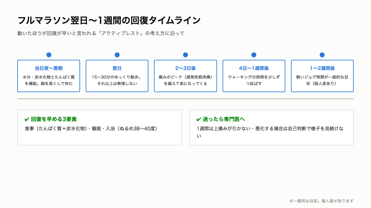 M7_回復1週間タイムライン.png